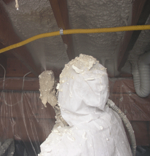 Flint MI crawl space insulation